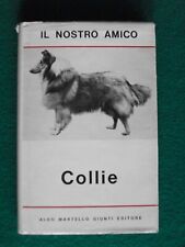 Nostro amico collie usato  Italia