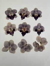 Dried pressed orchid for sale  TAMWORTH