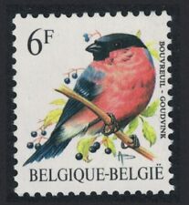 Sale northern bullfinch for sale  Shipping to Ireland
