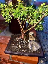 Azalea flowering bonsai for sale  Midway City