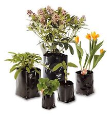 polypots for sale  Shipping to Ireland