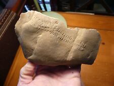 Ichnofossil trilobite tracks for sale  Leopold