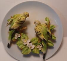 Parakeets budgies johnathon for sale  Wimauma