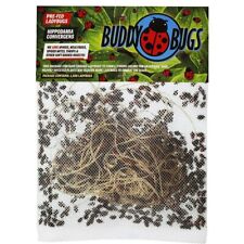 Buddy bugs 1500 for sale  La Puente
