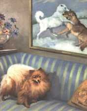 Pomeranian vintage dog for sale  Tampa