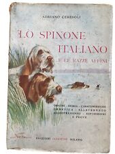 Spinone italiano razze usato  Mondovi