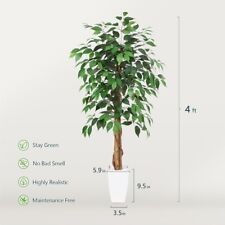 indoor plant for sale  Shipping to South Africa