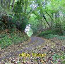 Usado, Foto 6x4 Una vista otoñal de Mallions Lane, West Sussex Slough Green\/TQ c2005 segunda mano  Embacar hacia Mexico