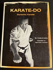 Karate dynamic karate gebraucht kaufen  Plaidt