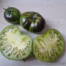 Tomate xanadu green gebraucht kaufen  Mettenheim
