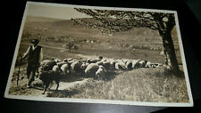 VINTAGE POSTCARD GERMAN/SWISS SHEPHERD WITH DOG & SHEEP 1920s for sale  Shipping to South Africa