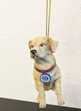 Golden labrador dog for sale  Ney