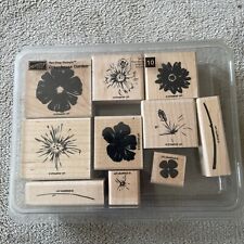 Stampin greenhouse garden for sale  ALTON