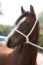 White rope halter for sale  CHEPSTOW