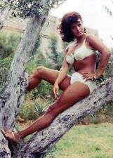 Senta berger sexy for sale  Shipping to United Kingdom
