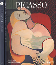 Picasso 1915 1973. usato  Italia