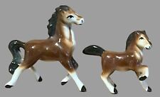 2 miniature horses for sale  Clintonville