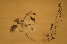 Sakura japanisches rollbild gebraucht kaufen  Rothensee,-Neustädter See