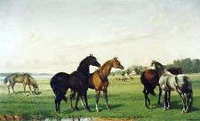 Arte pintura a óleo cavalos-em-um-pasto-William-Aiken-Walker-tela paisagem comprar usado  Enviando para Brazil