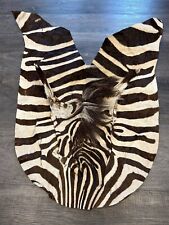 Equus burcell zebra for sale  New York