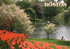 Picture postcard boston for sale  NEWCASTLE UPON TYNE