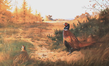 Pheasants watched afar. for sale  NELSON