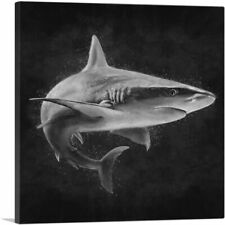 shark white art print for sale  Niles