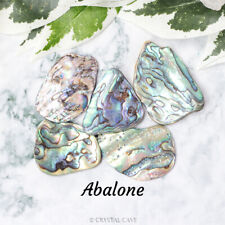 1 Abalone Shell Tumble Stone - Tumbled Crystal Gemstone Natural High Quality Gem segunda mano  Embacar hacia Argentina