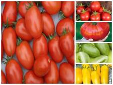 Tomato seeds varieties for sale  DARLINGTON