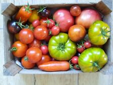 Tomatensamen sorten samen gebraucht kaufen  Dargun