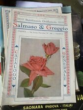 Salmaso greggio catalogo usato  Italia