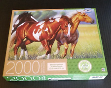 2000 pcs jigsaw for sale  Spartanburg