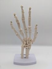 Anatomy hand joint for sale  SOUTHSEA