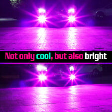 bombillas LED de H8 H11 rosa púrpura para luz antiniebla DRL luz de condução comprar usado  Enviando para Brazil