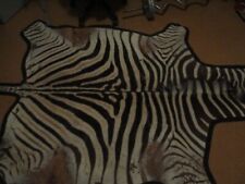 Echtes zebrafell steppenzebra gebraucht kaufen  Northeim