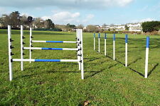 Dog agility equipment for sale  NEWTON ABBOT