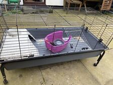 Indoor guinea pig for sale  LIVERPOOL
