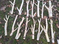 Silver birch decor for sale  WITHAM