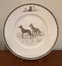 Wedgwood plate marguerite for sale  Kitty Hawk