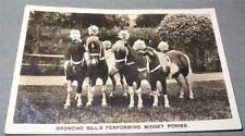 Circus act broncho for sale  MIDDLEWICH