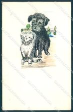 Cartolina animale cane usato  Italia
