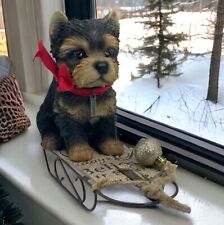 Yorkshire terrier yorkie for sale  Clermont