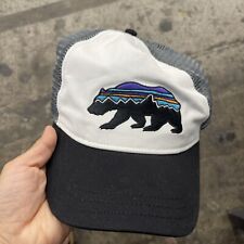 Patagonia trucker hat for sale  Kyle