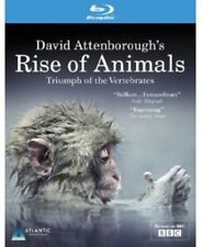 David attenborough rise for sale  UK