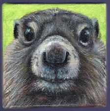 Marmot portrait acrylic d'occasion  Toulon-