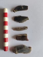 Neolithic. tools. flint for sale  CHATTERIS