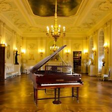 C. Bechstein 6' grand piano for sale  Shipping to South Africa