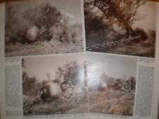 Photo article Rhodesia clearing for Lake Kariba 1959 for sale  Shipping to South Africa