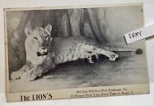 Early lion curb for sale  Greensburg