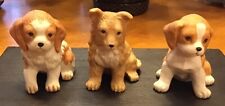 beagle puppies terrier for sale  Edmond